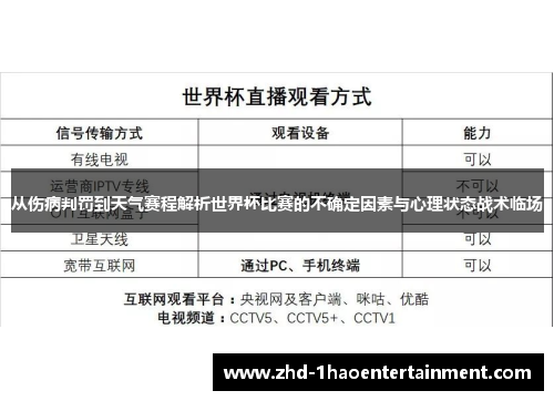 从伤病判罚到天气赛程解析世界杯比赛的不确定因素与心理状态战术临场